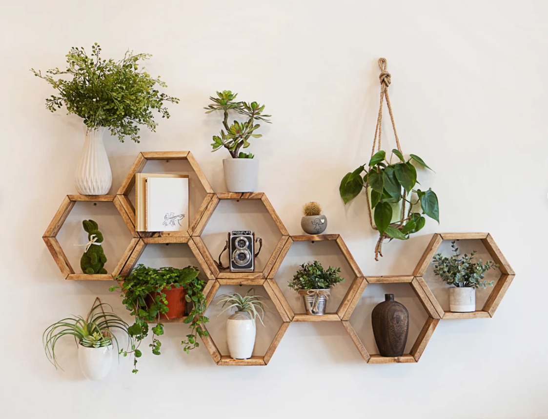 Hexagon Shelves